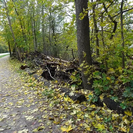 Fuer 5 Personen In Strausberg