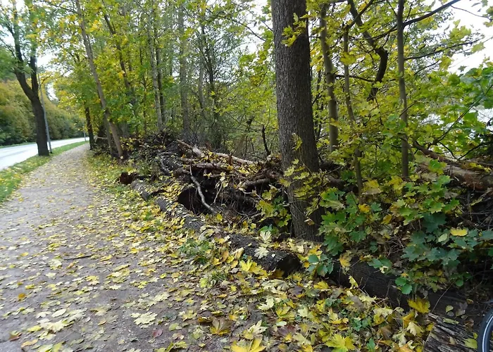 Fuer 5 Personen In Strausberg